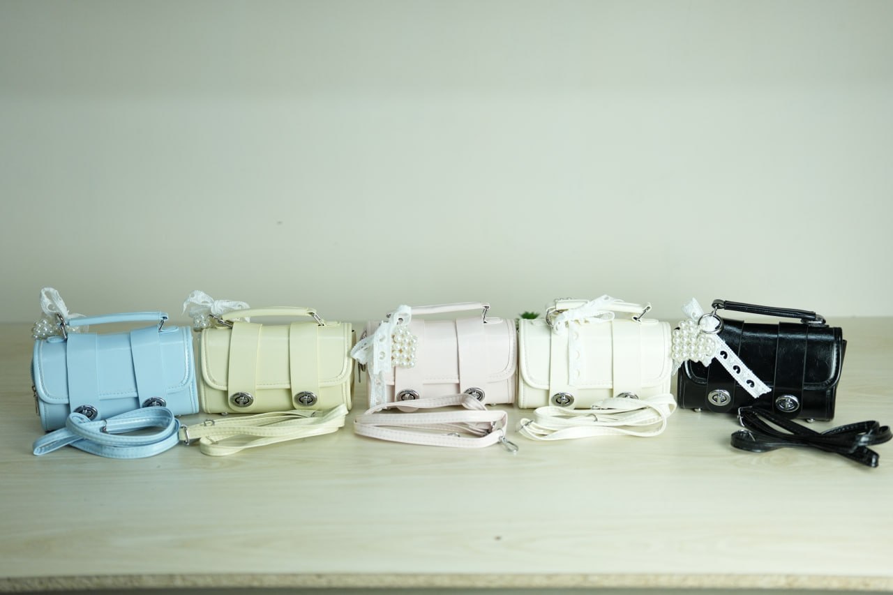 Super Cute Ladies Bag